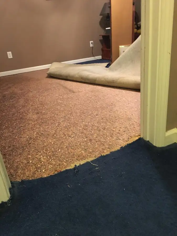 Carpet pad removal revealing water damage during Water Mitigation Services in Valencia West
