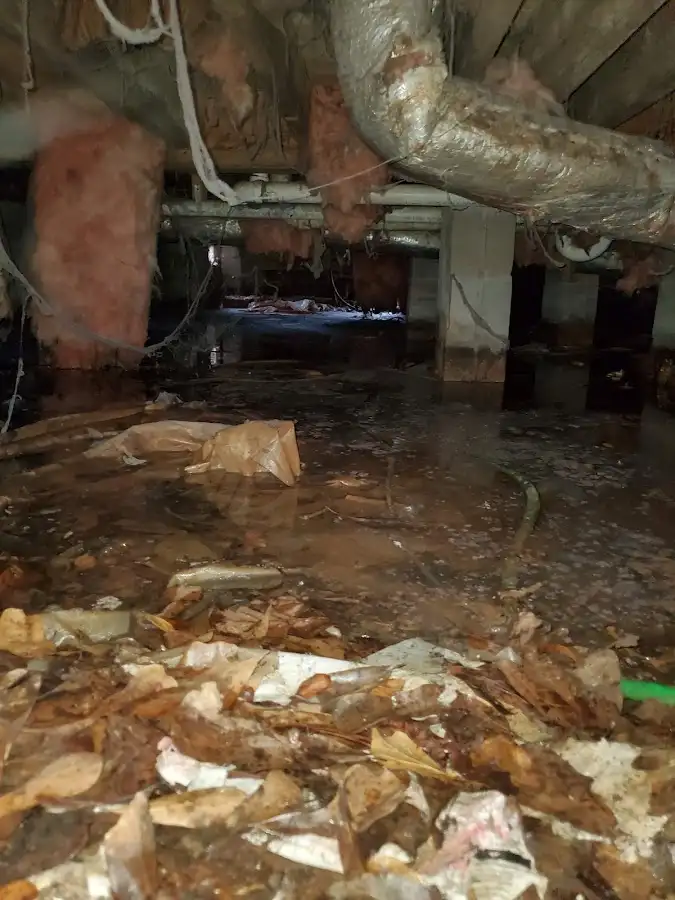 Crawl space flood assessment for Commercial Water Damage Restoration in Valencia West