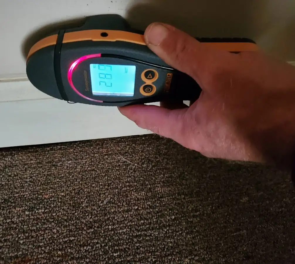 Moisture detection at baseboard during Sewage Cleanup & Sanitation in Valencia West